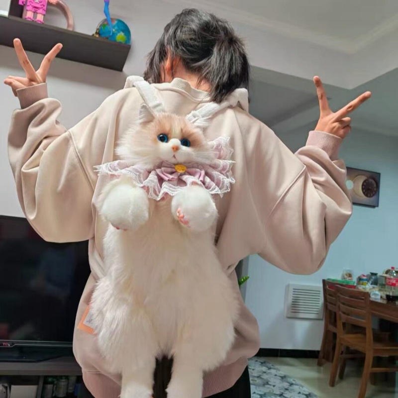 2026 New In Stock Ragdoll Cat  - Travel Accessories Ideas recension och pris