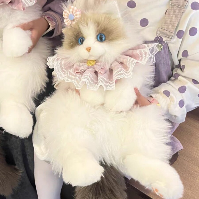 2026 New In Stock Ragdoll Cat  - Travel Accessories Ideas recension och pris