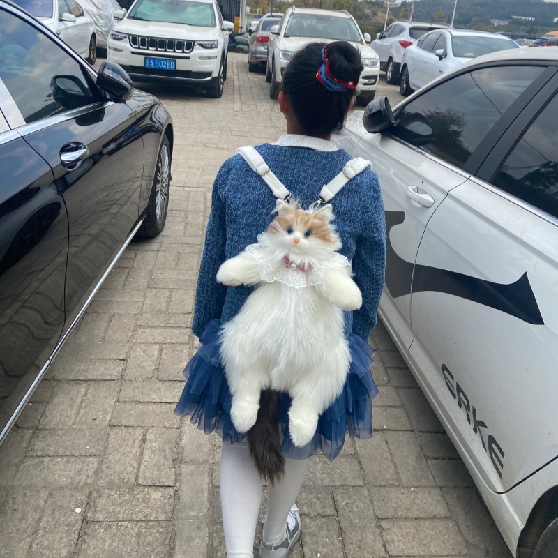 2026 New In Stock Ragdoll Cat  - Travel Accessories Ideas recension och pris