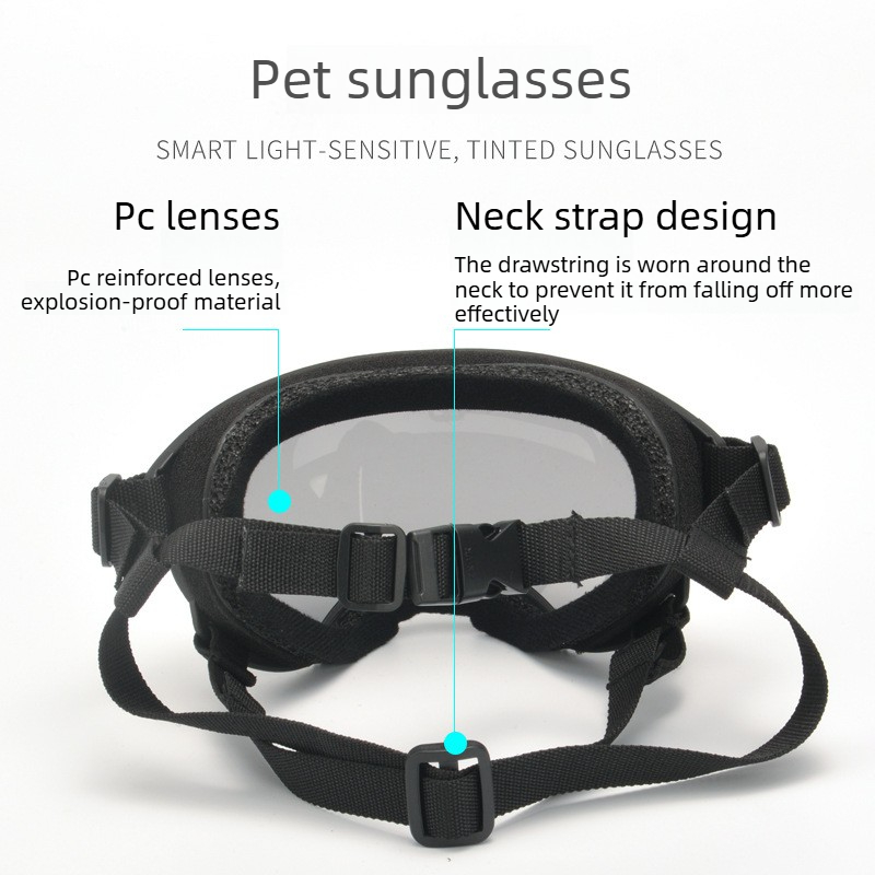 Pet Goggles Wind Sand UV Prote - Travel Accessories Ideas recension och pris