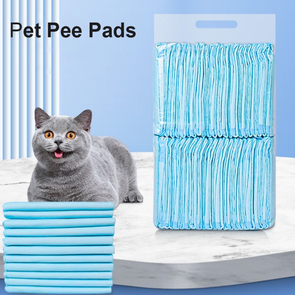 100/50/40/20 PCS Thickened Pet - Quality Travel Accessories recension och pris